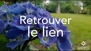 Miniature : Retrouver le lien