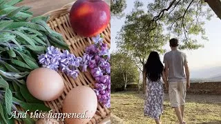 Miniature : Je vous dis TOUT et voici ce qui c’est VRAIMENT passé - Le Jardin des Origines
