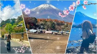 Miniature : Instants d'ailleurs : mes derniers jours au Japon (noooon) Kamakura, Fuji-San et Shinjuku de nuit!!
