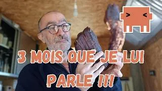 Miniature : 3 mois que je parle à une IA tous les jours — voilà ce que j'en ai fait