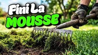 Miniature : Arrêtez de Gratter la Mousse | Faites plutôt ceci