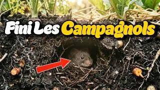 Miniature : Arrêtez de Chasser les Campagnols | Faites plutôt ceci