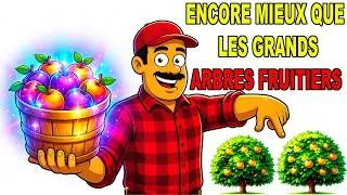Miniature : Ces Petits Arbustes Produisent Plus Que Les Grands Arbres Fruitiers !