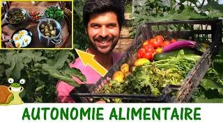 Miniature : Autonomie alimentaire / Repas 100% jardin (+ conséquences de la canicule)