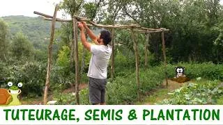 Miniature : Tuteurage, Semis et Plantation / Le plein BOUM au potager