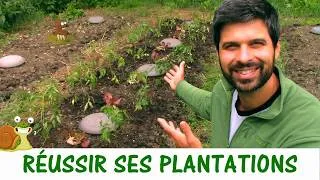 Miniature : Réussir les plantations