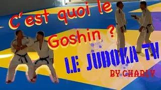Miniature : JUDO- c’est quoi le Goshin ?