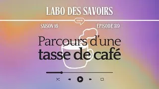 Miniature : [PODCAST] Parcours d’une tasse de café