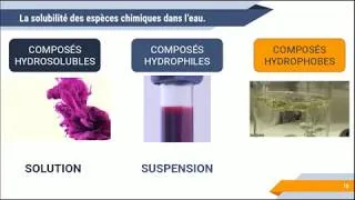 Miniature : Solubilité des composés