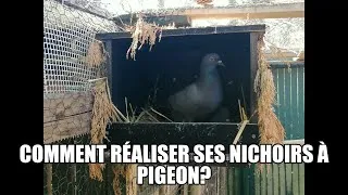 Miniature : Comment réaliser ses nichoirs à pigeon?