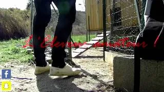 Miniature : Nouvelles naissances au poulailler !