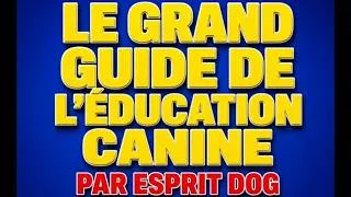 Miniature : Le grand guide de l'éducation canine : par Esprit Dog - Tony Sylvestre  Livre Audio Gratuit Complet