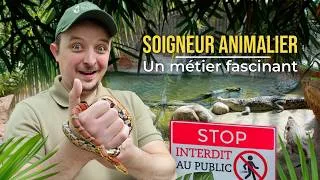Miniature : Une Journée dans la Peau d’un SOIGNEUR ANIMALIER à Terre de Dragons !