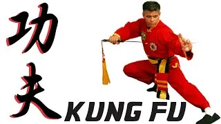 Miniature : ARTS MARTIAUX CHINOIS KUNG FU Mouvements D'épée  Avec The Kung Fu Master