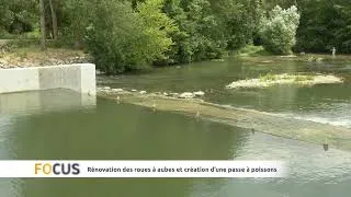 Miniature : FOCUS : Rénovation des roues à aubes et création d'une passe à poissons à l'Arche de la Nature