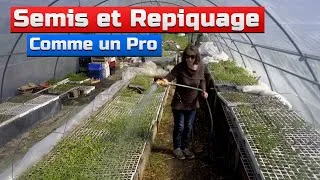Miniature : Semis et repiquage comme un pro saison 2