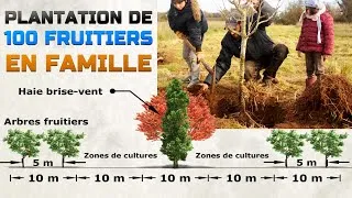 Miniature : Planter 100 arbres fruitiers 🌳🍏 | Créer un écosystème durable 🌍