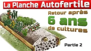 Miniature : La planche Autofertile de 30m - Retour après 6 ans Ep2 - Permaculture
