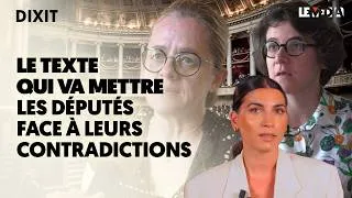 Miniature : LE TEXTE QUI VA DÉMASQUER PLUS D'UN DÉPUTÉ (LOI INTÉGRALE CONTRE LES VSS)
