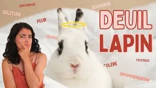 Miniature : Comment surmonter le DEUIL de son LAPIN ? 🩵 (NON, tu n'es pas SEUL)