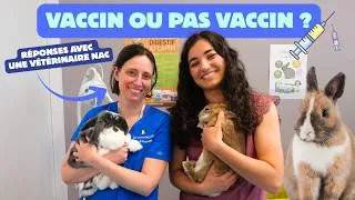 Miniature : Faut-il VRAIMENT vacciner son lapin ? 🤨 (Une vétérinaire NAC répond )