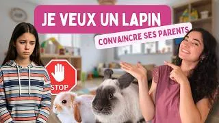 Miniature : Comment CONVAINCRE mes parents d'ADOPTER un LAPIN ?