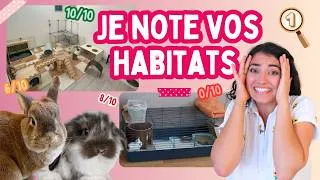 Miniature : Je note l'HABITAT de ton LAPIN