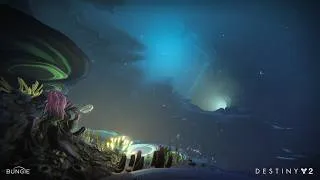 Miniature : Donjon Solo Flawless 2026 - Fantôme des Profondeurs (Chill Run)