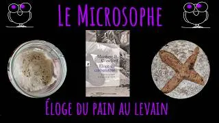 Miniature : Éloge du pain au levain