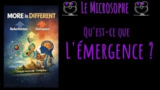Miniature : Qu'est-ce que l'émergence ?
