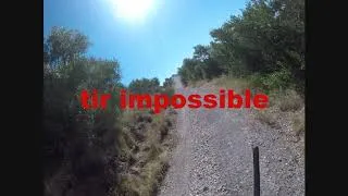 Miniature : 1er sanglier manqué 2020.21