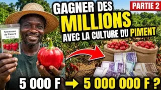 Miniature : 🔥🌶️ COMMENT GAGNER DES MILLIONS AVEC LA CULTURE DU PIMENT GRÂCE À L'AGROÉCOLOGIE | PARTIE 2 💰🌱