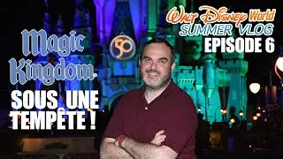 Miniature : SOUS UNE TEMPÊTE ON VISITE MAGIC KINGDOM