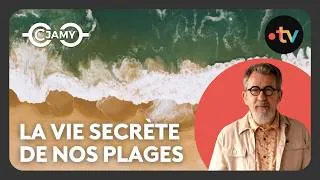 Miniature : Pourquoi certaines plages sont en sable et d'autres en galets ? - C Chaud - C Jamy