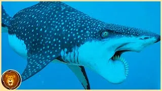Miniature : Les 15 Espèces de Requins les plus Rares Cachées dans l'Océan