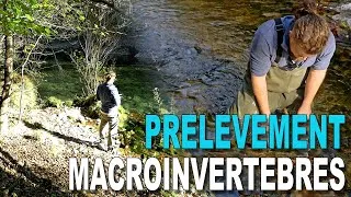 Miniature : Réalisation d'un prélèvements macroinvertébrés