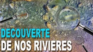 Miniature : A la découverte de nos rivière