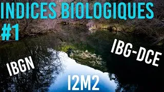 Miniature : Indices biologiques: Macroinvertébré #1
