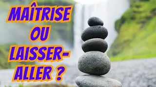 Miniature : MAÎTRISE OU LAISSER - ALLER