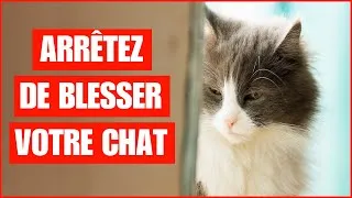 Miniature : 16 Choses Qui Brisent Le Cœur De Votre Chat Sans Que Vous Vous En Rendiez Compte