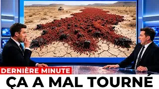 Miniature : Une minuscule fourmi en Australie élimine des crapauds-buffles — les images sont incroyables