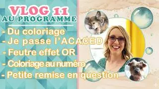 Miniature : VLOG 11 - Petite remise en question, je découvre le coloriage au numéro et je vais passer l'ACACED