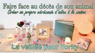 Miniature : ✨Dire au revoir à son chien : Organiser une cérémonie d'adieu chez soi ✨