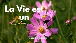 Miniature : La vie est un Cadeau