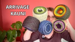 Miniature : Laine Kauni : ma première livraison pour le salon de laine