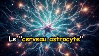 Miniature : Le cerveau astrocyte