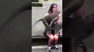 Miniature : Moment singe 😂