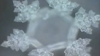 Miniature : L'EAU