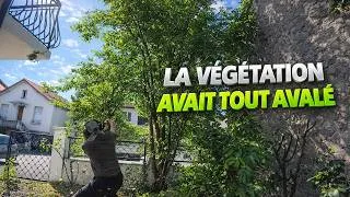 Miniature : La végétation avait TOUT ENGLOUTIT ! Le CLIENT ne RECONNAISSAIT plus son JARDIN après mon PASSAGE