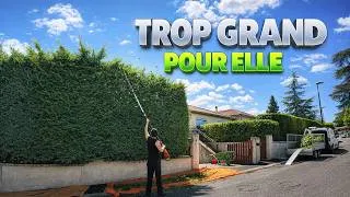 Miniature : La PROPRIÉTAIRE N'ARRIVAIT PLUS à entretenir son ÉNORME JARDIN + RABATTAGE d'une haie IMMENSE.